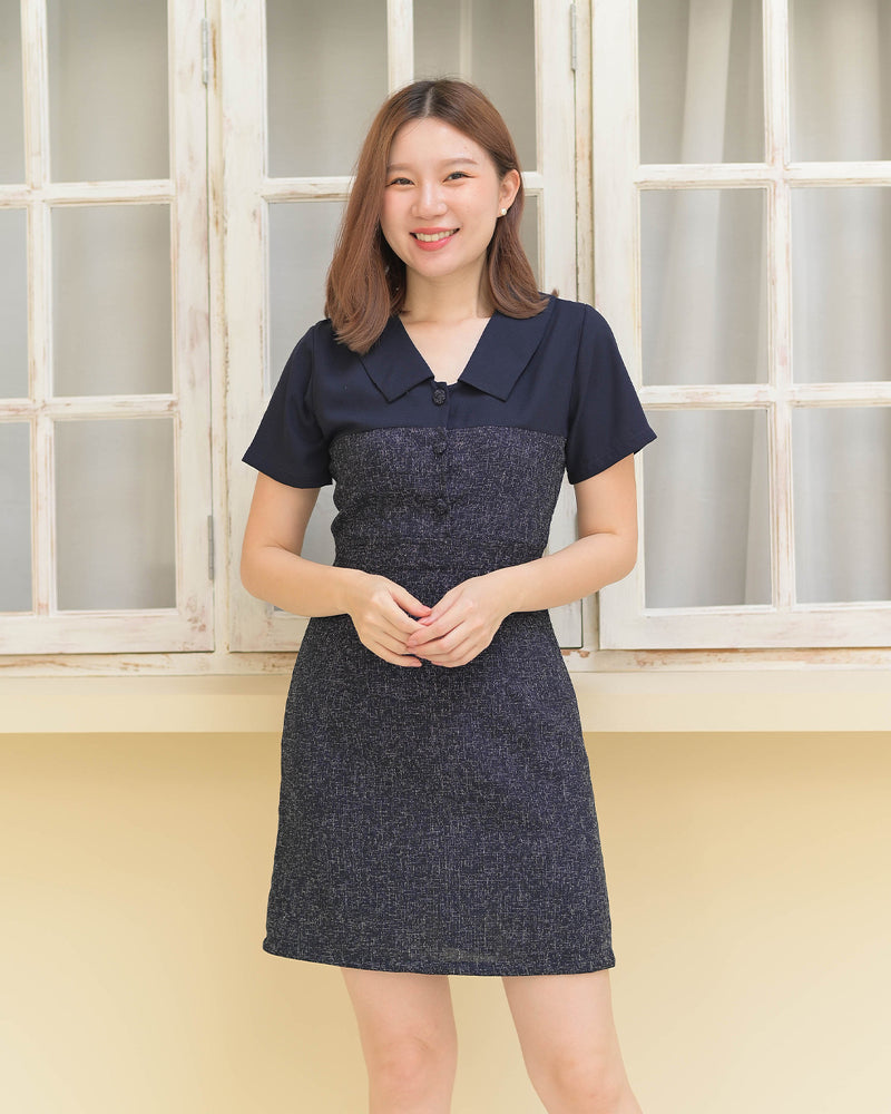 Phila Dress 拼色款領子短袖連衣裙 - Navy 海藍色(CB591)