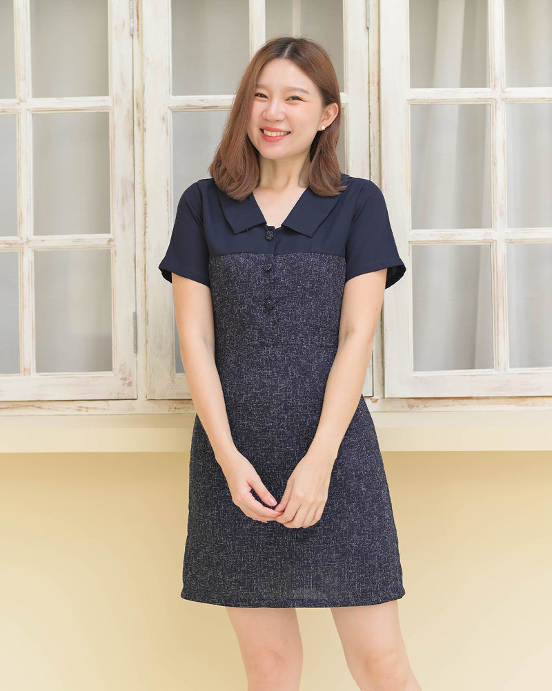 Phila Dress 拼色款領子短袖連衣裙 - Navy 海藍色(CB591)
